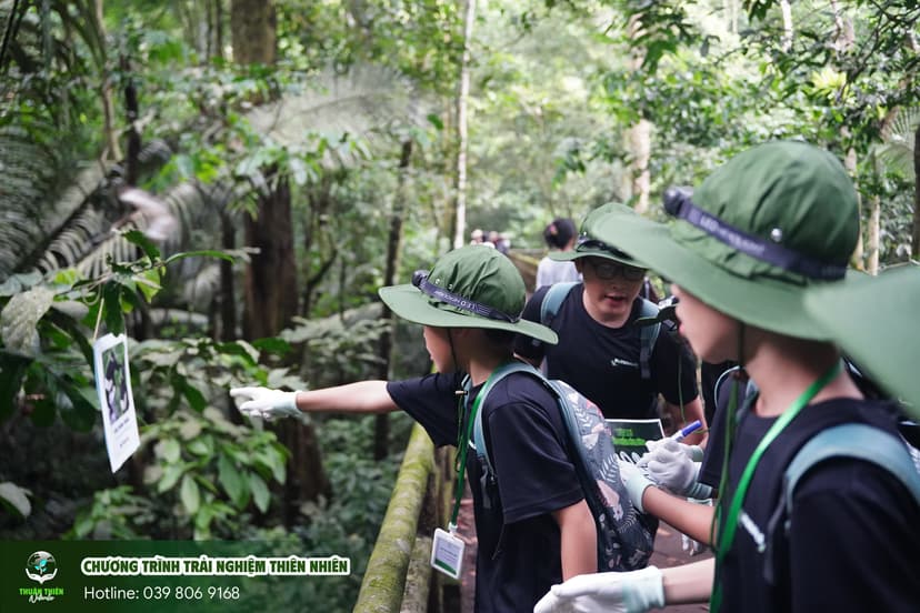 Trại hè thiên nhiên có ưu điểm và khác biệt gì?