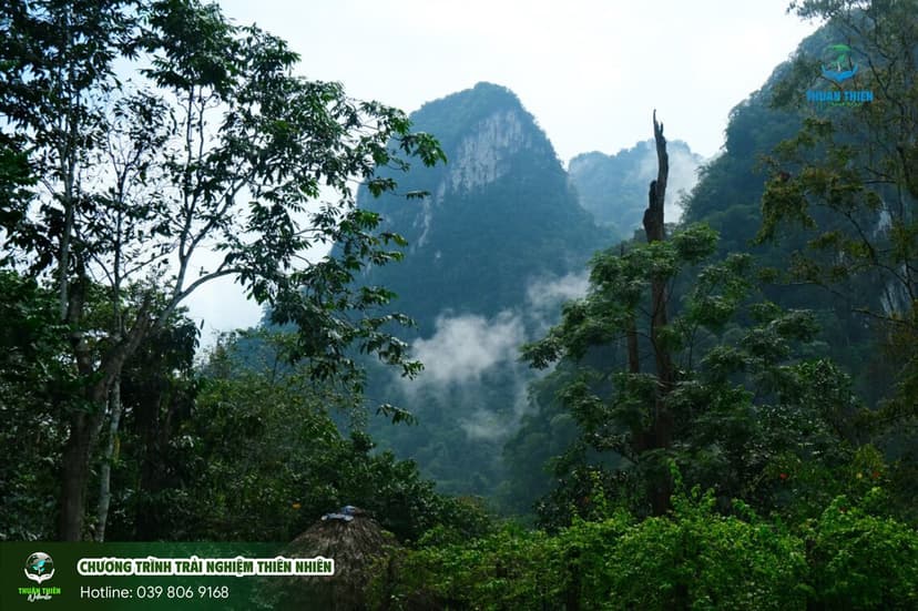 Trại hè thiên nhiên tại Xuân Sơn có gì thú vị?