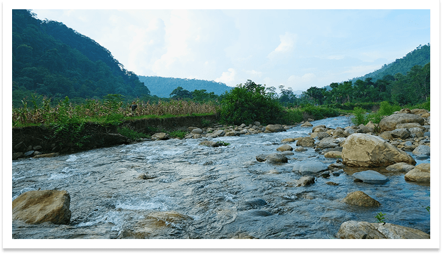 Vườn quốc gia Xuân Sơn, Phú Thọ  1