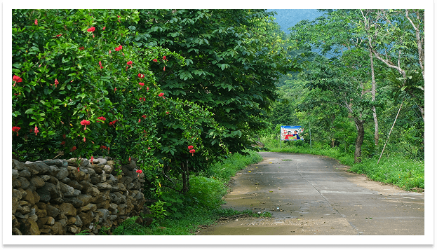 Vườn quốc gia Xuân Sơn, Phú Thọ  2