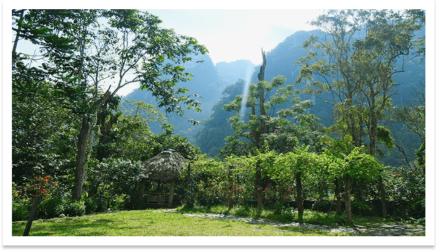 Vườn quốc gia Xuân Sơn, Phú Thọ  3