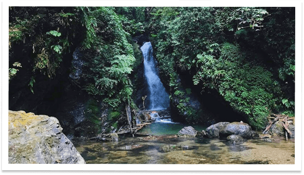 Vườn quốc gia Xuân Sơn, Phú Thọ  4